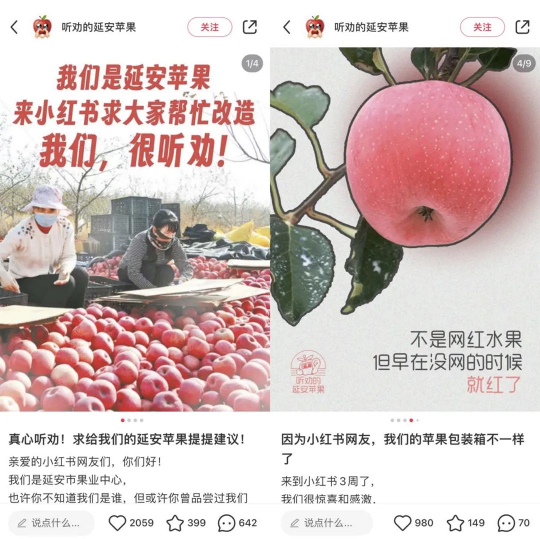 小红书的商业化没有标准答案