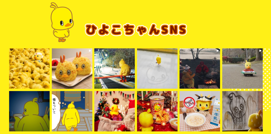 pic_008.png