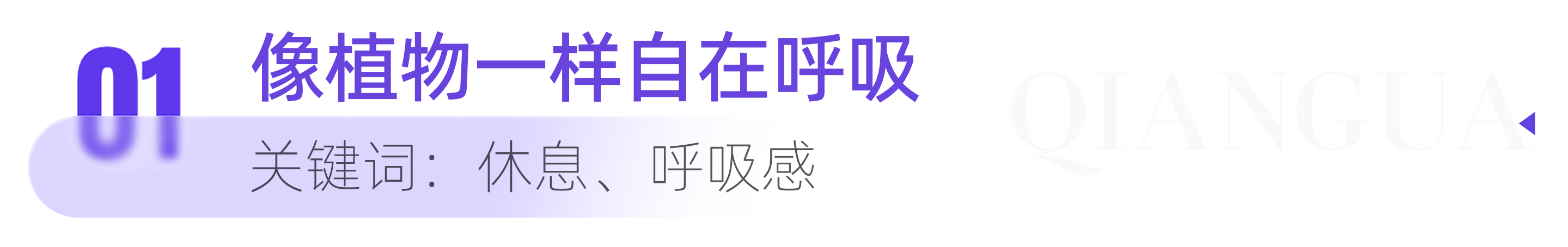 治愈系种草｜“像植物一样生活”成新流行