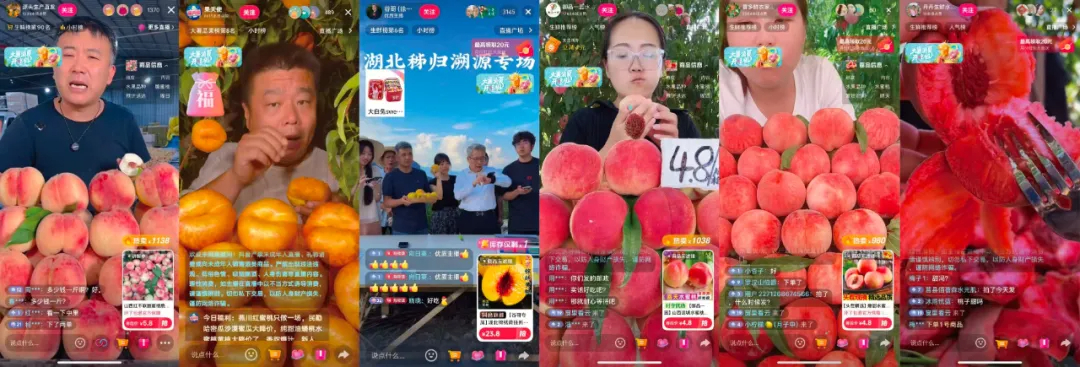 图片 (1).jpg