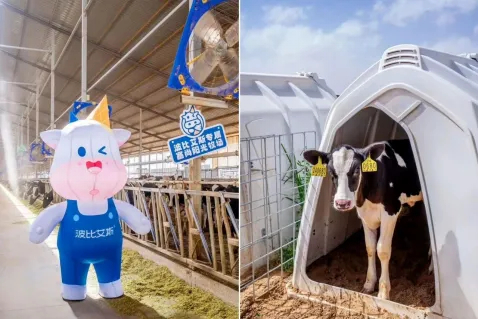 1763086887219677.jpg 1763086887219677.jpg