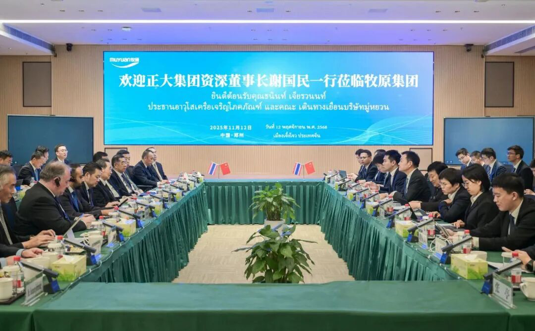 1768999125719018.jpg 1768999125719018.jpg