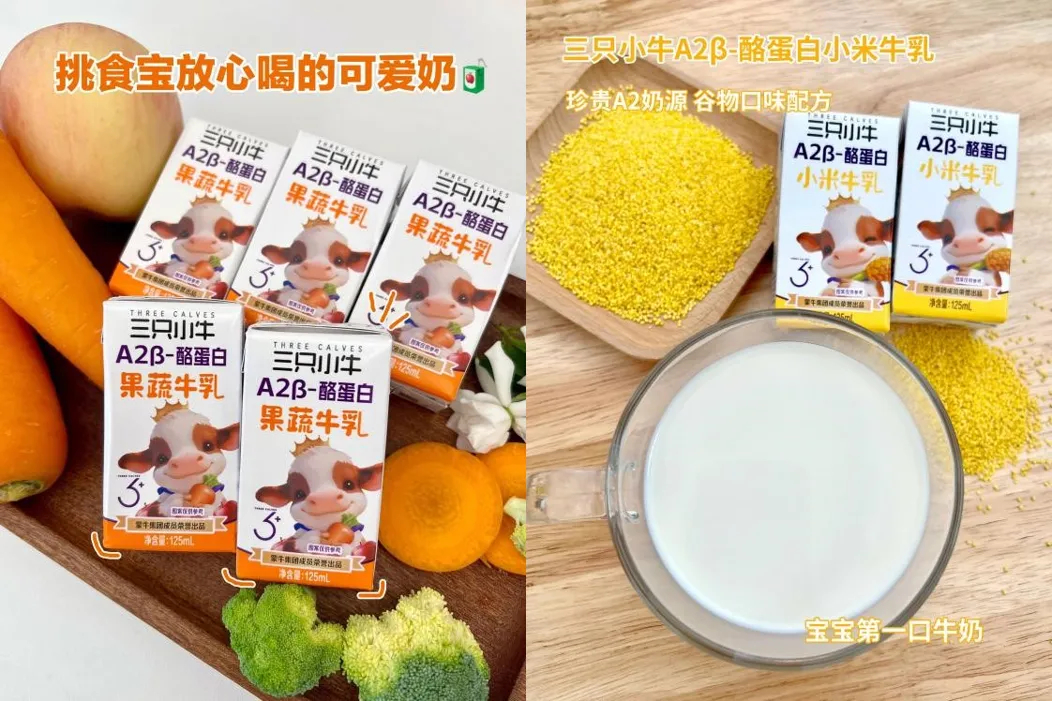 1769049173277253.jpg 1769049173277253.jpg