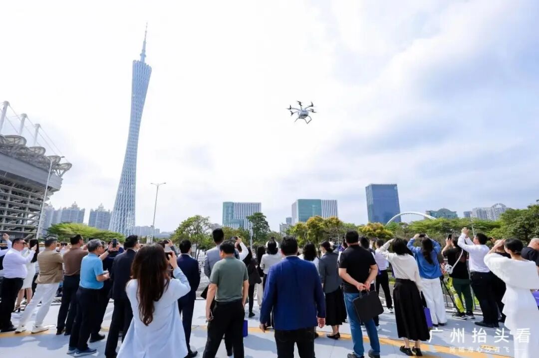 1775216608579250.jpg 1775216608579250.jpg