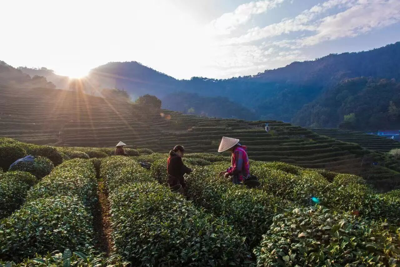 1775640773808653.jpg 1775640773808653.jpg