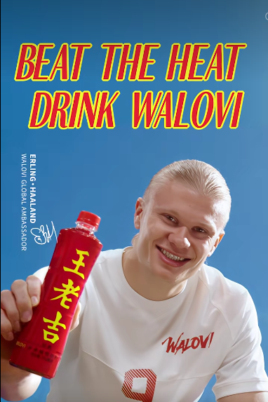 1781622774453641.png